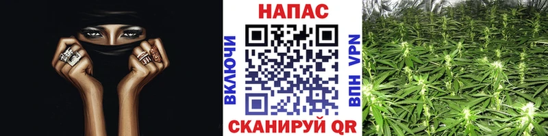 даркнет телеграм  Троицк  Каннабис ГИДРОПОН 
